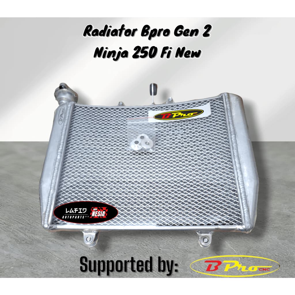 Ninja 250 Fi New
