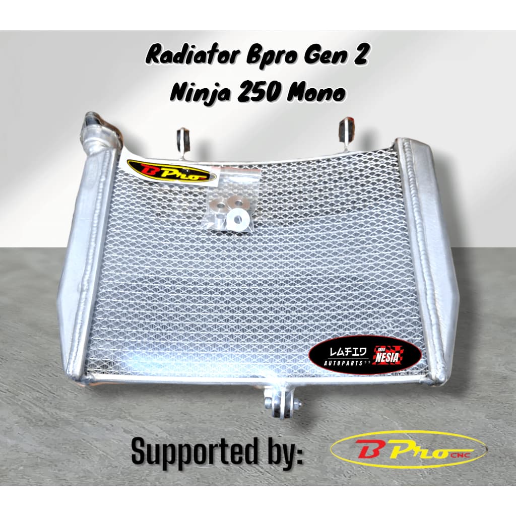 Ninja 250 Mono