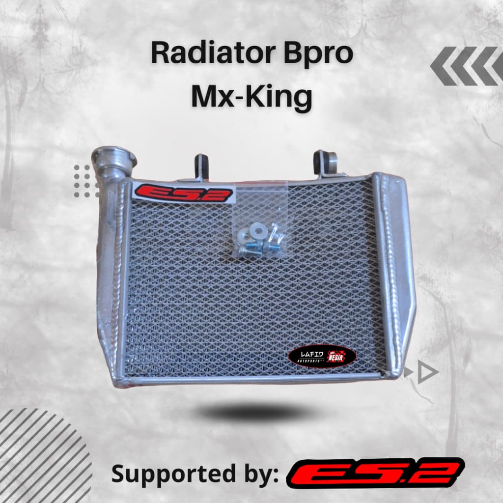 Radiator ES2 bpro MX King CBR150 Ninja150 R SS RR GTR Sonic Vixion racing harian original es.2